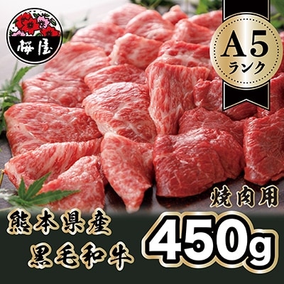 A5ランクのくまもと黒毛和牛 焼肉用 450g(益城町)