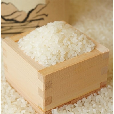 令和3年産 熊本県産無洗米ヒノヒカリ 8kg(4kg×2)