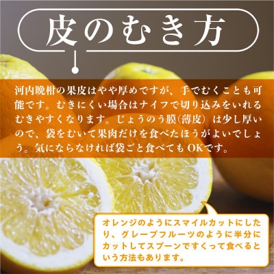 【2026年3月より順次発送】熊本県産　ジューシーオレンジ　約10kg(益城町)