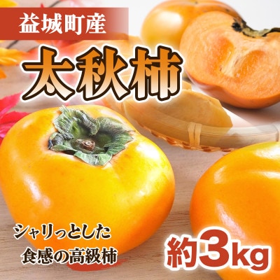 益城町産 太秋柿 約3kg(益城町)