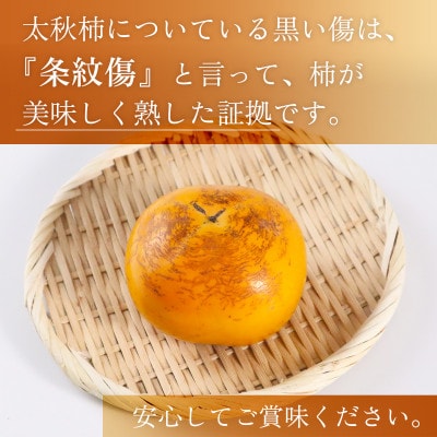 益城町産 太秋柿 約3kg(益城町)