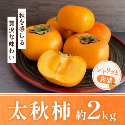益城町産 太秋柿 約2kg(益城町)