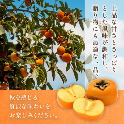 益城町産 太秋柿 約2kg(益城町)