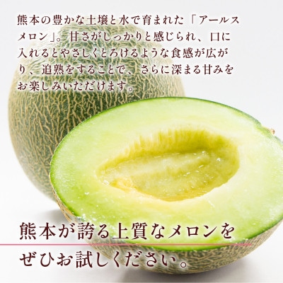 熊本産アールスメロン1玉 約1.3kg(益城町)