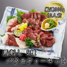 厳選500g　5種　馬刺しのバラエティーセット(益城町)