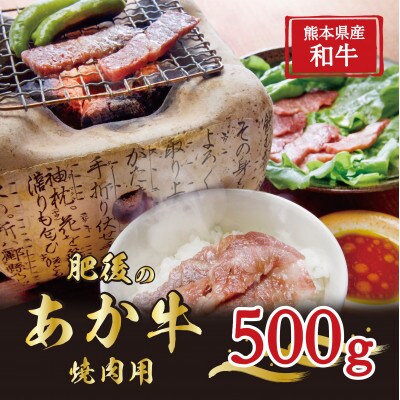 【毎月定期便】肥後の赤牛　焼肉用　500g(熊本県産和牛)G-4(益城町)全3回