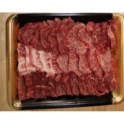 【毎月定期便】肥後の赤牛　焼肉用　500g(熊本県産和牛)G-4(益城町)全3回
