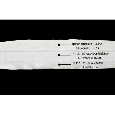 西川 熊本謹製 薄型敷きふとん シングル 100cm×210cm(ブルー)
