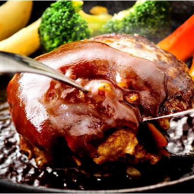 熊本県産 Gi認証 くまもとあか牛100 使用 くまもとあか牛ハンバーグ 150g 10 益城町 お礼品詳細 ふるさと納税なら さとふる