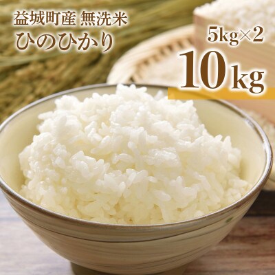 令和5年産　熊本県産無洗米ひのひかり 10kg(5kg×2袋)(益城町)