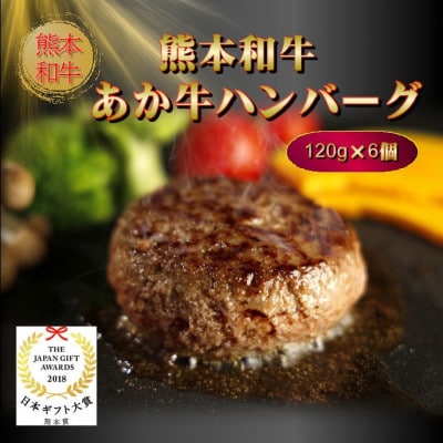 あか牛100%ハンバーグセット(あか牛ハンバーグ120g×6個)(益城町)