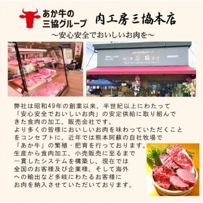 あか牛焼肉食べ比べ 500g(ロース250g、カルビ250g)(益城町)