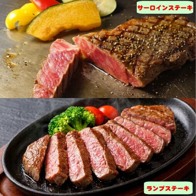 熊本県産あか牛4種のステーキセット(サーロイン・ランプ・ヒレ・三角バラ)(益城町)