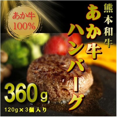 熊本和牛あか牛ハンバーグ3個セット(あか牛ハンバーグ120g×3個)(益城町)