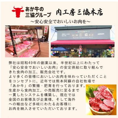 熊本和牛あか牛ザブトン 480g セット(あか牛ザブトン120g×4 あか牛のたれ200ml)益城町