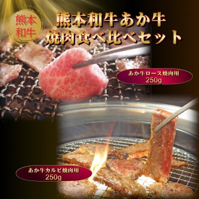 あか牛焼肉食べ比べセット500g(ロース250g、カルビ250g、あか牛のたれ200ml)(益城町)