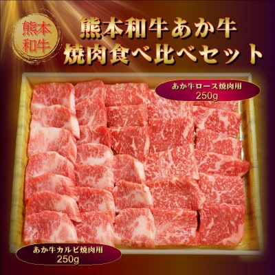 あか牛焼肉食べ比べセット500g(ロース250g、カルビ250g、あか牛のたれ200ml)(益城町)