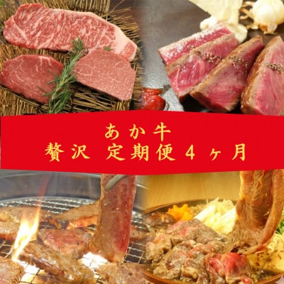 【毎月定期便】あか牛 贅沢 定期便【4か月】全4回