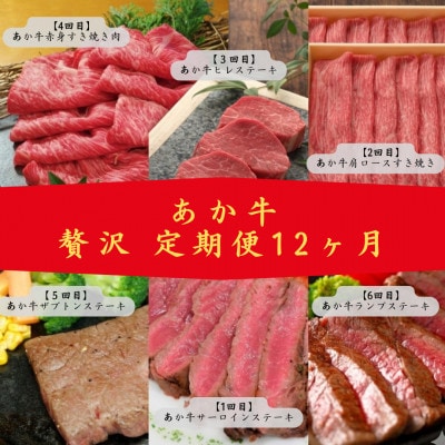 【毎月定期便】あか牛　贅沢　定期便　(益城町)全12回