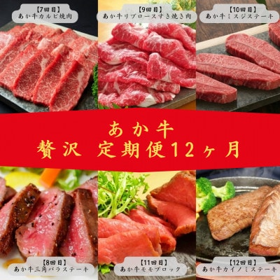 【毎月定期便】あか牛　贅沢　定期便　(益城町)全12回