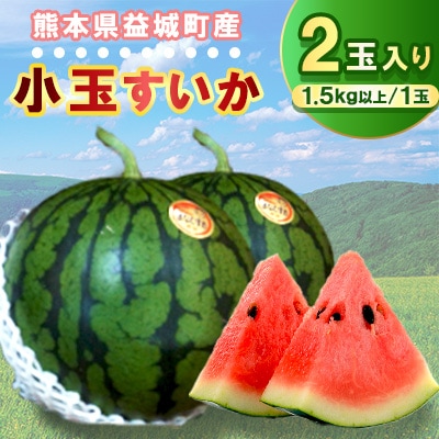 小玉すいか　2玉入り　1玉1.5kg以上
