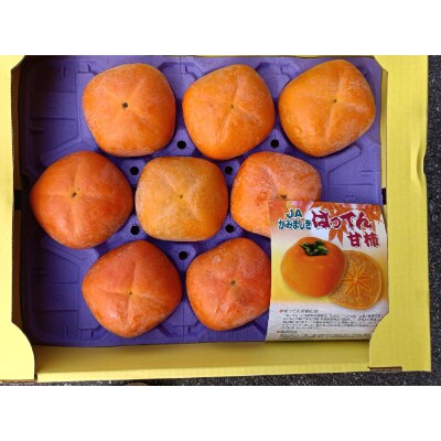 ばってん甘柿　約3kg　赤秀・青秀　8～16玉入り