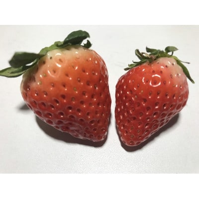 益城町産【エミナース農園】のいちご8パック(平置き)