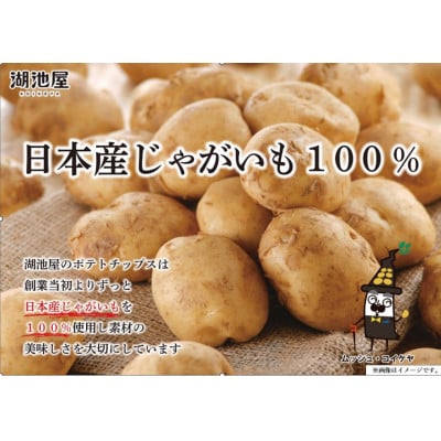 PRIDE POTATO 芋まるごと 24袋セット