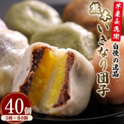 芋屋長兵衛自慢の逸品 熊本いきなり団子(5種) 40個セット(各80g)