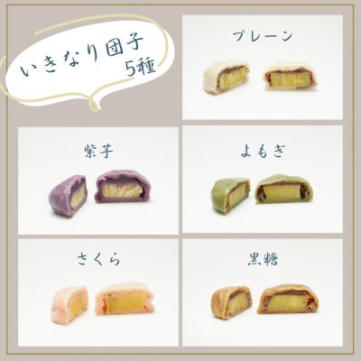 【家庭用】芋屋長兵衛自慢の逸品　熊本いきなり団子(訳あり)(5種) 20個セット