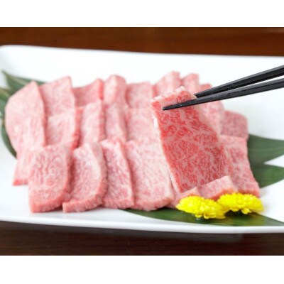 【黒毛和牛】熊本県産 焼き肉用 カルビ 600g(300g×2パック)(益城町)