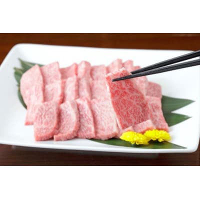 【黒毛和牛】熊本県産 焼き肉用 ロース 600g(300g×2パック)(益城町)