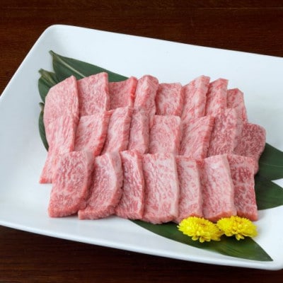 【黒毛和牛】熊本県産 焼き肉用 ロース 600g(300g×2パック)(益城町)