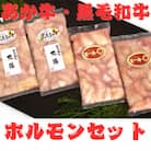 熊本県産　黒毛和牛(丸腸)・あか牛(小腸)各200g×2個　ホルモン　合計800gセット(益城町)