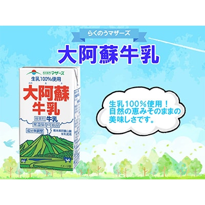 2023年1月発送開始『定期便』大阿蘇牛乳 250ml×24本全12回