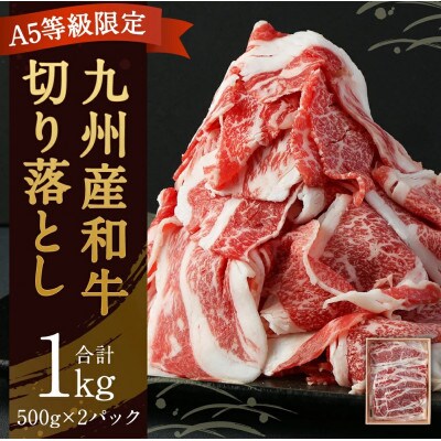 九州産　A5黒毛和種　牛切り落とし500g×2