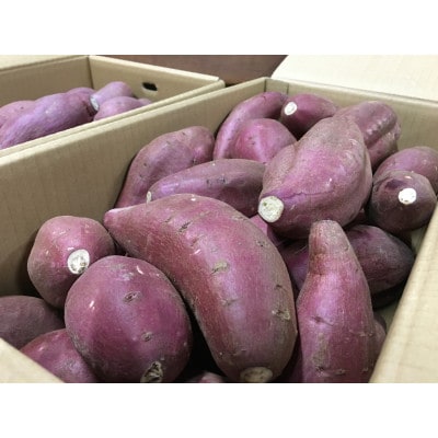 益城の豊かな大地で育った!熊本県益城町産「さつまいも」10kg
