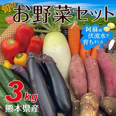 熊本県産旬のお野菜7種セット