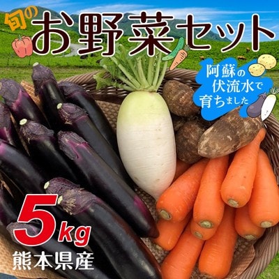 熊本県産旬のお野菜5kgセット