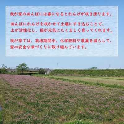 熊本県益城町産　令和5年産「ヒノヒカリ」10kg(5kg×2袋)