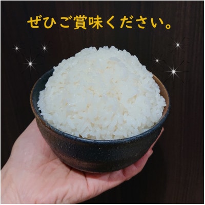 熊本県益城町産　令和5年産「ヒノヒカリ」10kg(5kg×2袋)