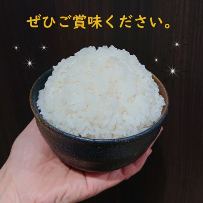 熊本県益城町産 単一原料米 令和7年産「ヒノヒカリ」10kg(5kg×2袋)