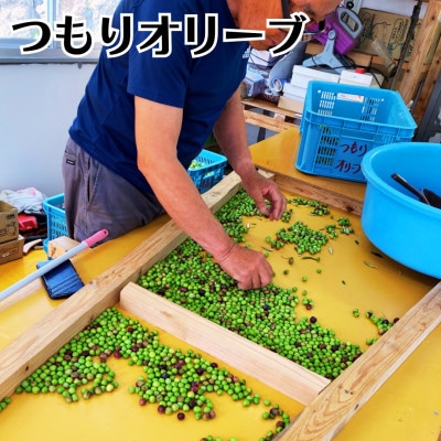 益城町産 国産 オリーブオイル「エクストラバージンオリーブオイル」【つもりオリーブ】