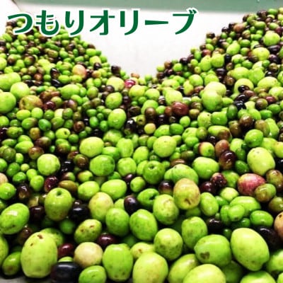益城町産 国産 オリーブオイル「エクストラバージンオリーブオイル」つもりブレンド【つもりオリーブ】