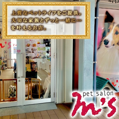 熊本県益城町 ペットサロン エムズ(M’s) エムズベーカリー 熊本馬肉レトルトパック 10P