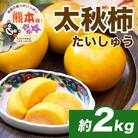 太秋柿　約2kg(4～10玉)(益城町)
