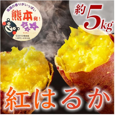 紅はるか　約5kg(9～38個)さつまいも(益城町)
