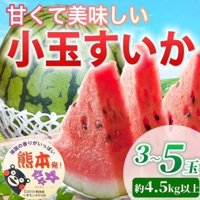 小玉すいか 3～5玉入り M～3Lサイズ 約4.5kg以上(益城町)