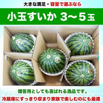 小玉すいか 3～5玉入り M～3Lサイズ 約4.5kg以上(益城町)