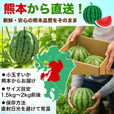 小玉すいか 3～5玉入り M～3Lサイズ 約4.5kg以上(益城町)